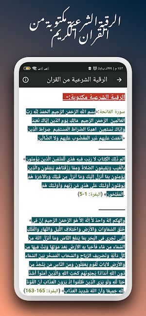 القران بصوت رعد الكردى بدون نت Screenshot 3
