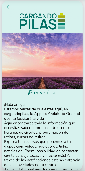 Cargando Pilas Screenshot 3