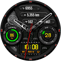 PUNAROTA WS112 Watch face