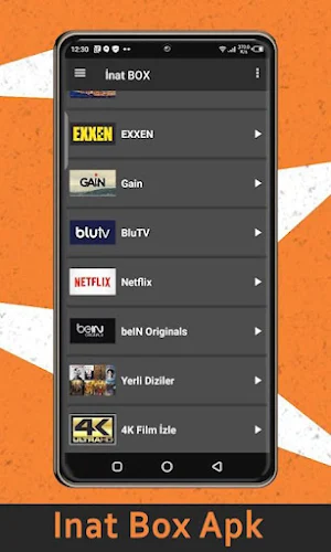 Tv box: Apk indir advice inat Screenshot 1