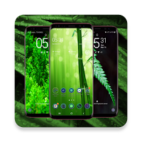 Green Wallpaper