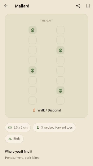 Spoor Screenshot 1