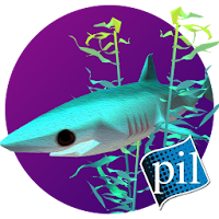 PI VR Oceans