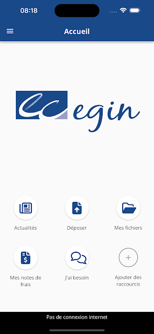Echeverria&Asso Screenshot 1