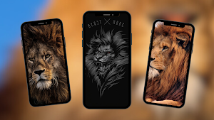 Lion Wallpapers Screenshot 1