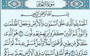 Sheikh Seid Ali Quran Screenshot 2