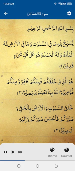 Surah Taghabun سورة التغابن Screenshot 2