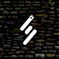 ScaleSwap
