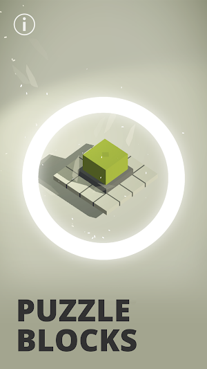 Puzzle Blocks Screenshot 0