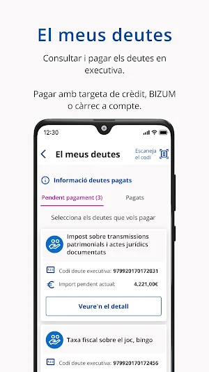Agència Tributària Catalunya Screenshot 2