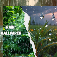 Wallpaper Rain