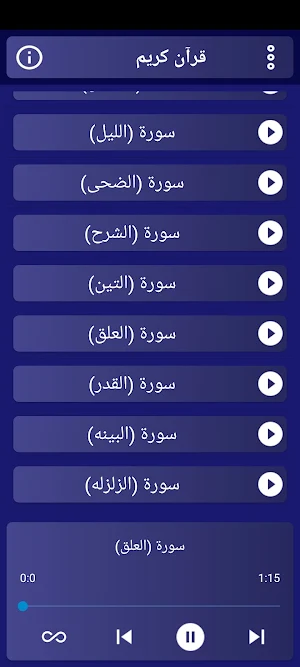 مصحف الشيخ المعيقلي بدون نت. Screenshot 3