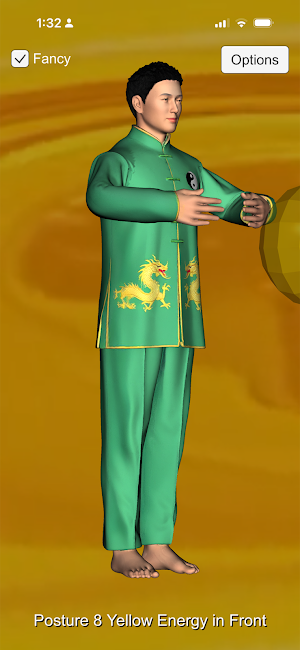 Tai Chi Energy Screenshot 1