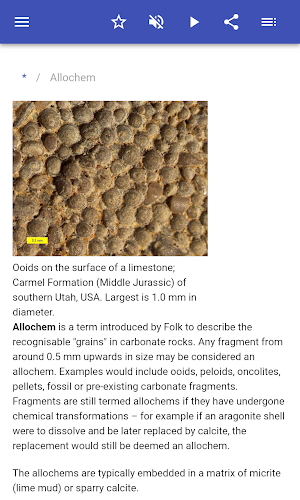 Sedimentary rocks Screenshot 1