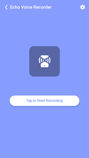 Echo Voice Recorder: Live Mic Screenshot 1