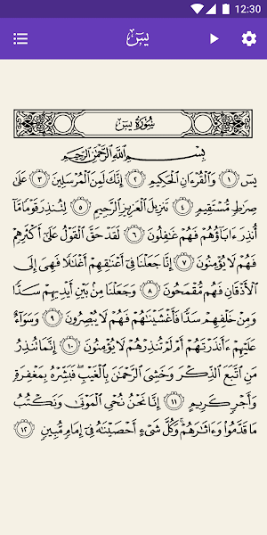 Surah Yasin with Translation a Screenshot 1