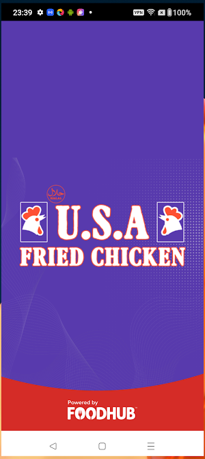 USA Fried Chicken Screenshot 0