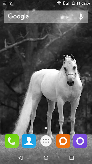 White Horse Hd Wallpapers Screenshot 2