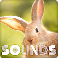 Rabbit Sound Ringtones