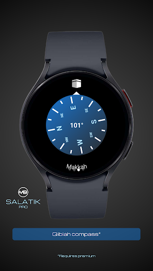Salatik Pro Screenshot 2