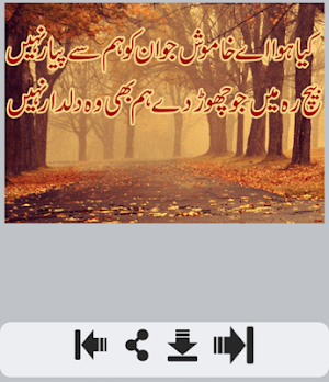 Ishq Shayari عشق شاعری Screenshot 2