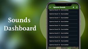 Sparrow Sounds - Sparrow Calls Ringtone Screenshot 2