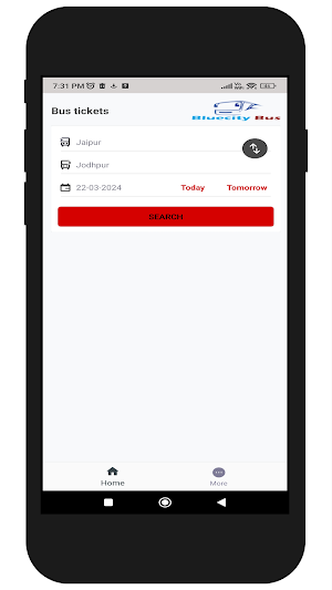 Bluecity Bus Screenshot 1