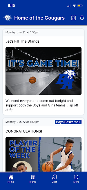 Brookhaven Academy Cougars Screenshot 0