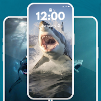 Shark Aesthetic Wallpaper 4K