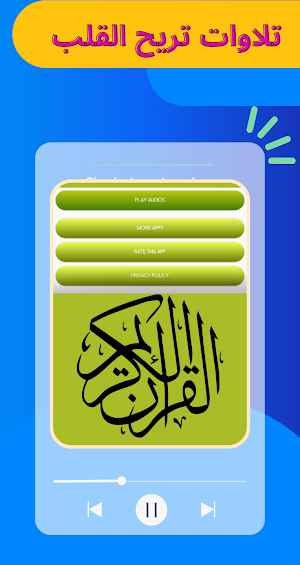 القرآن بدون نت - هيثم الدخين Screenshot 0