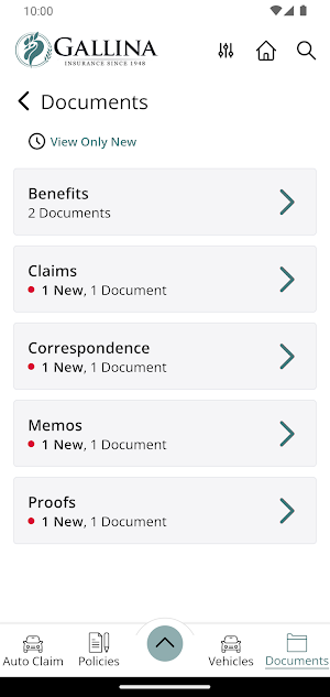 Gallina & Sons Insurance Screenshot 2