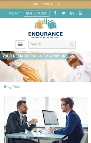 Endurance Consultant Services Screenshot 1
