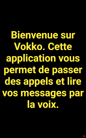 Vokko Screenshot 3