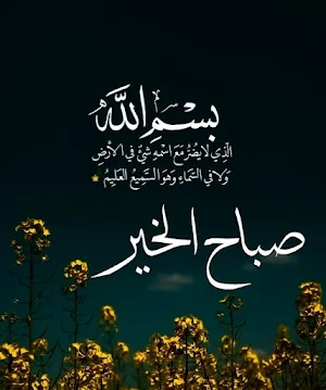 دعاء الصباح فيديو وخلفيات2024 Screenshot 1