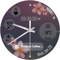 ZRU10 Watch Face for Wear OS