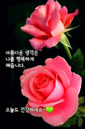 좋은 아침 Screenshot 0