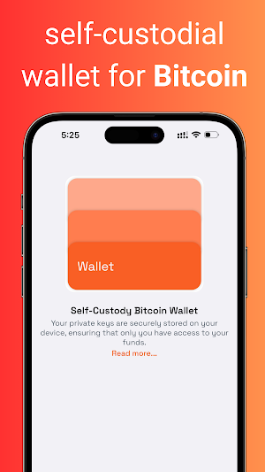 Rust: Bitcoin Wallet - BTC Screenshot 0