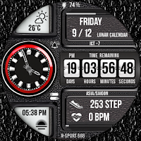 N-SPORT668 FlipDigi Watch Face