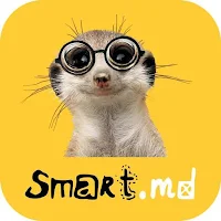 smart.md