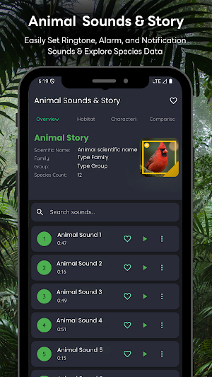 Cardinal Sounds & Story Screenshot 0