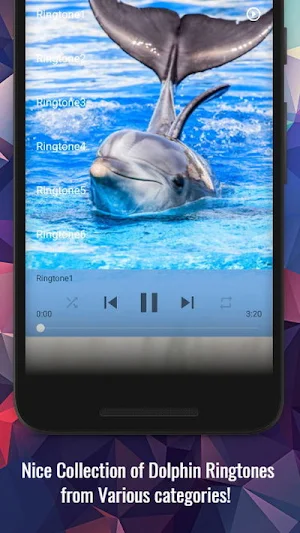 Dolphin Ringtones Screenshot 1