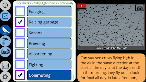 Crow Scientist Screenshot 0