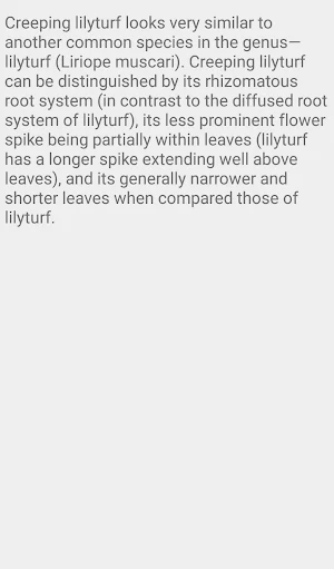 Lilyturf Groundcover Flower Screenshot 3