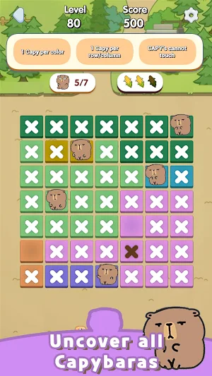 CAPYDOKU Screenshot 2