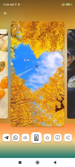 Autumn Wallpapers HD Screenshot 3