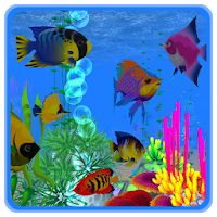 VR Coral Reef Underwater Scuba
