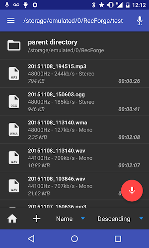RecForge II Pro - Audio Recorder Screenshot 0
