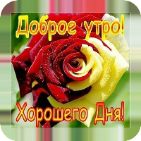 Доброе утро Хорошего дня