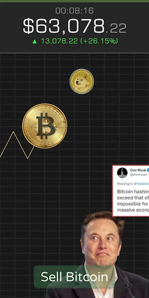 Bitcoin Crash Screenshot 2