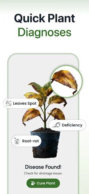 Plant Identifier Scan and Care Screenshot 3